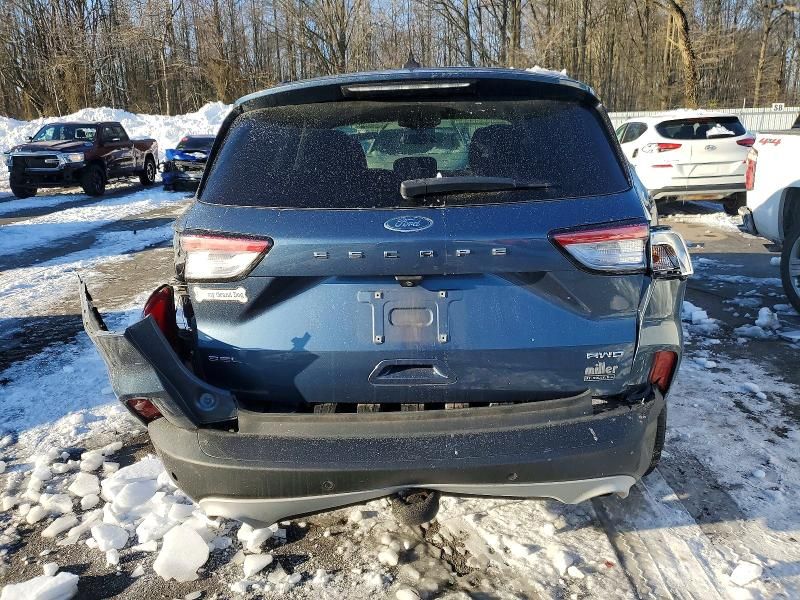 2020 Ford Escape sel