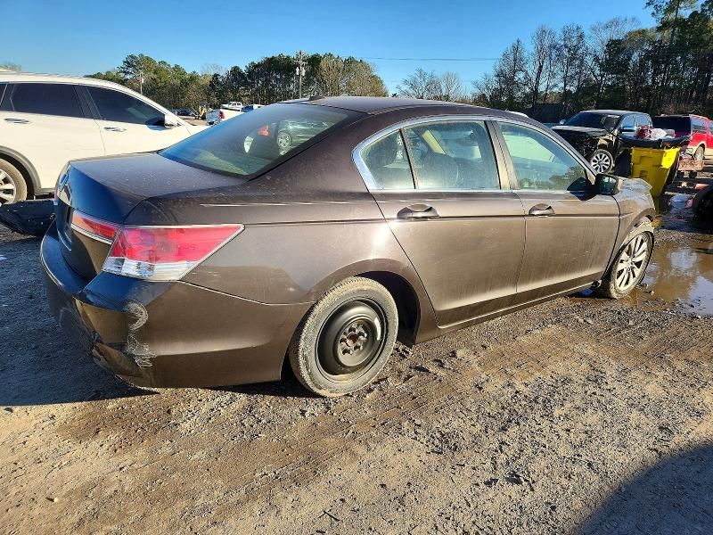 2011 Honda Accord exl