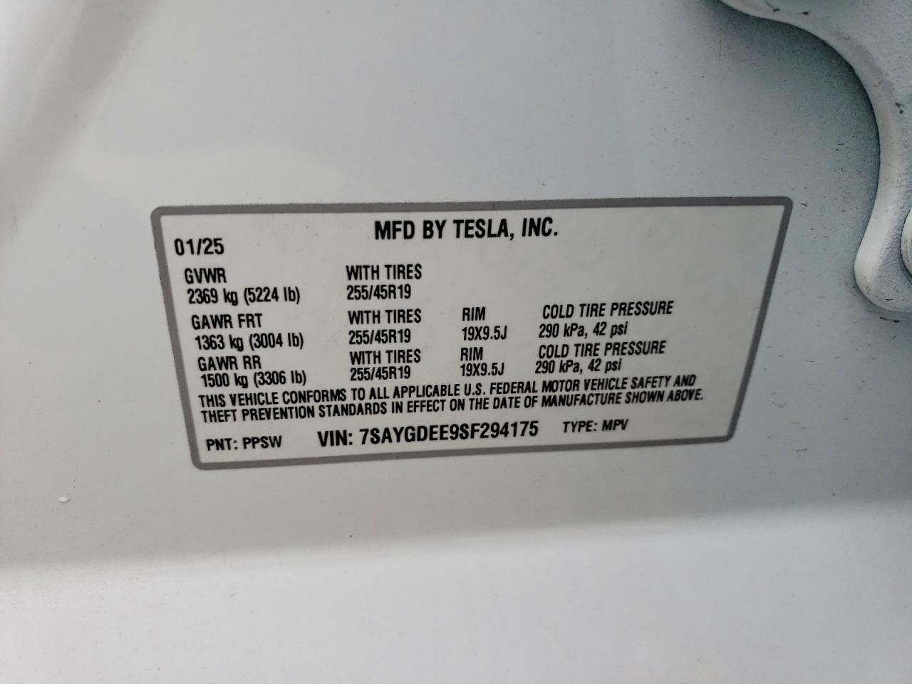 2025 Tesla Model y