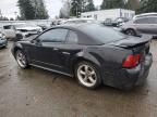 2001 Ford Mustang gt