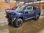 2017 Jeep Renegade Trailhawk