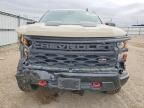 2023 Chevrolet Silverado K1500 Trail Boss Custom