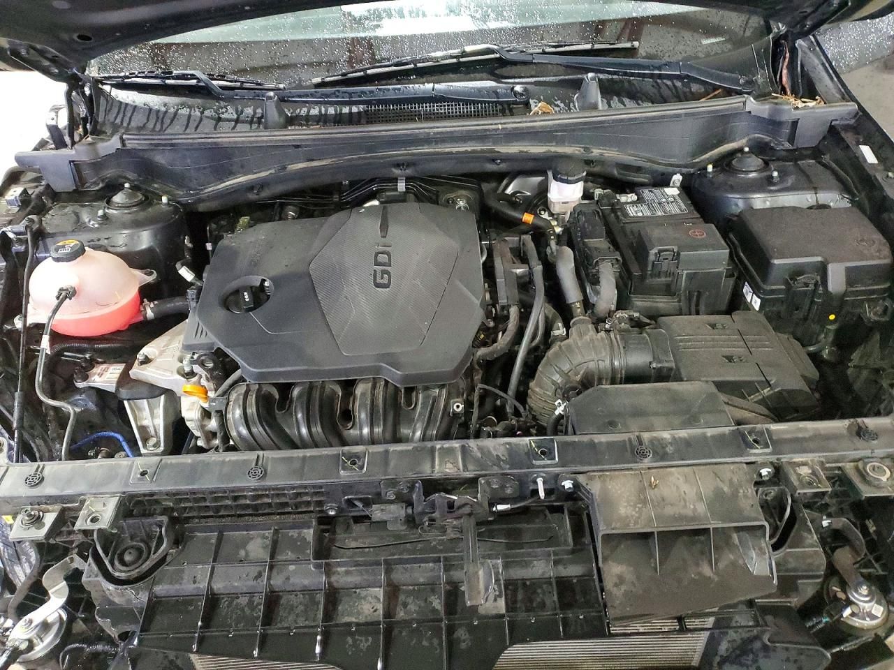 2023 KIA Sportage x Line