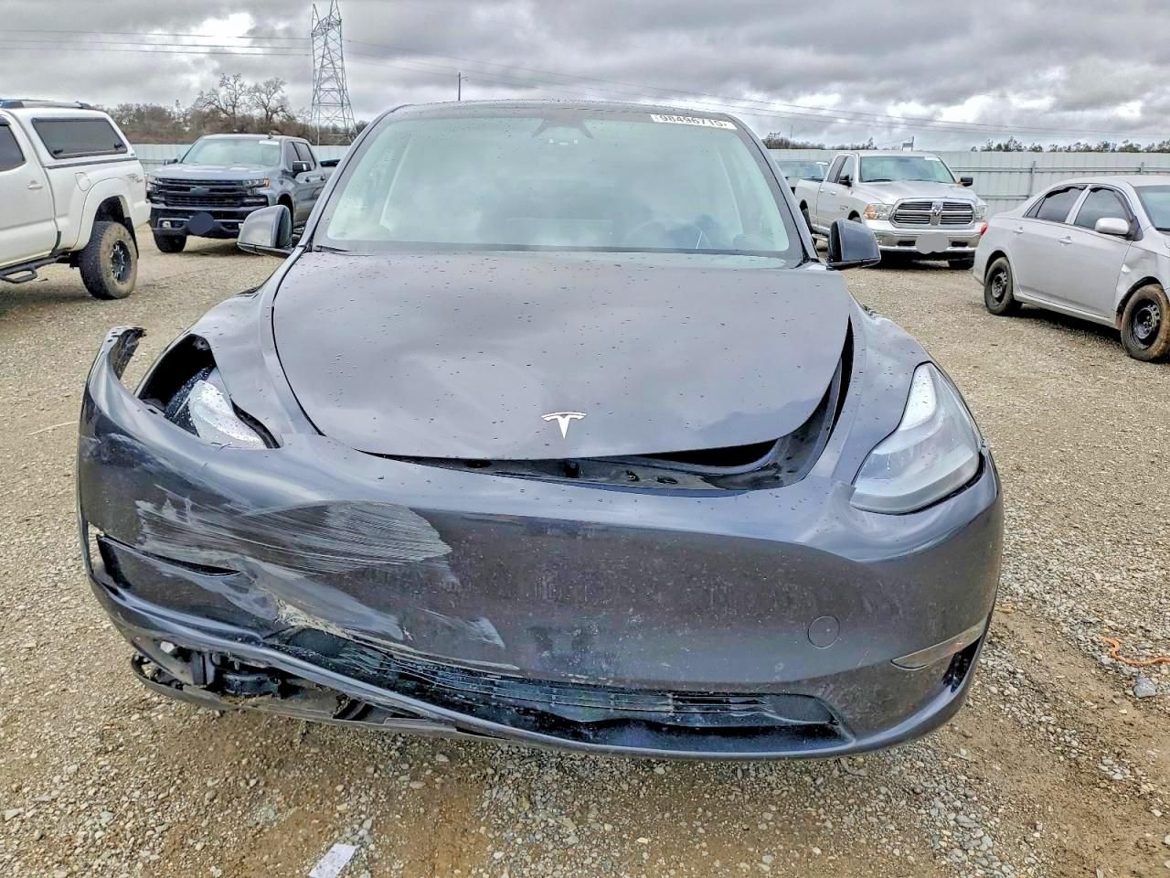 2024 Tesla Model y