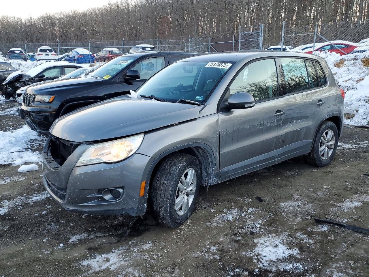 2010 Volkswagen Tiguan se