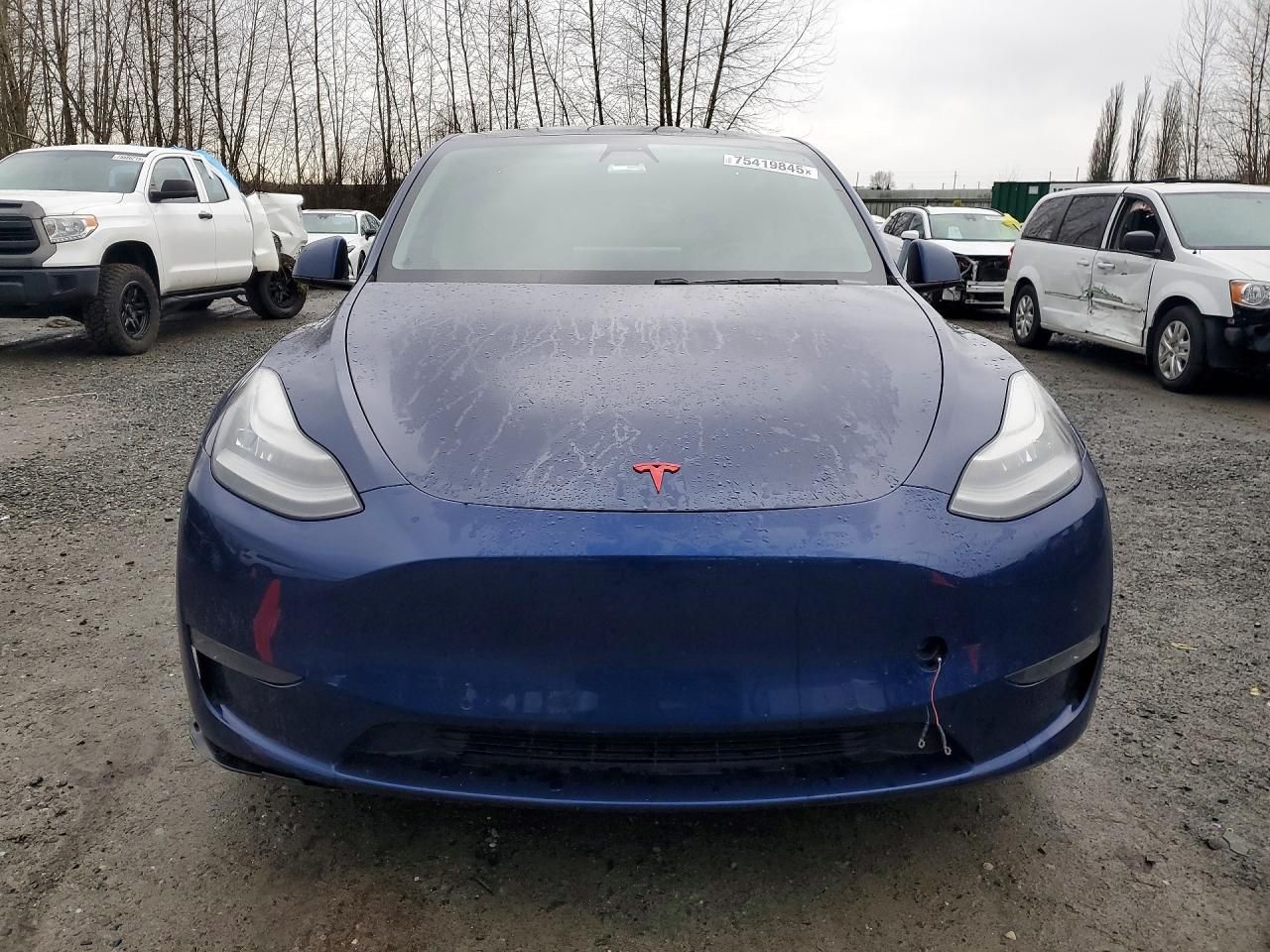 2020 Tesla Model y