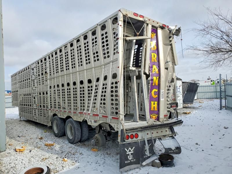 2013 Wilson Livestock