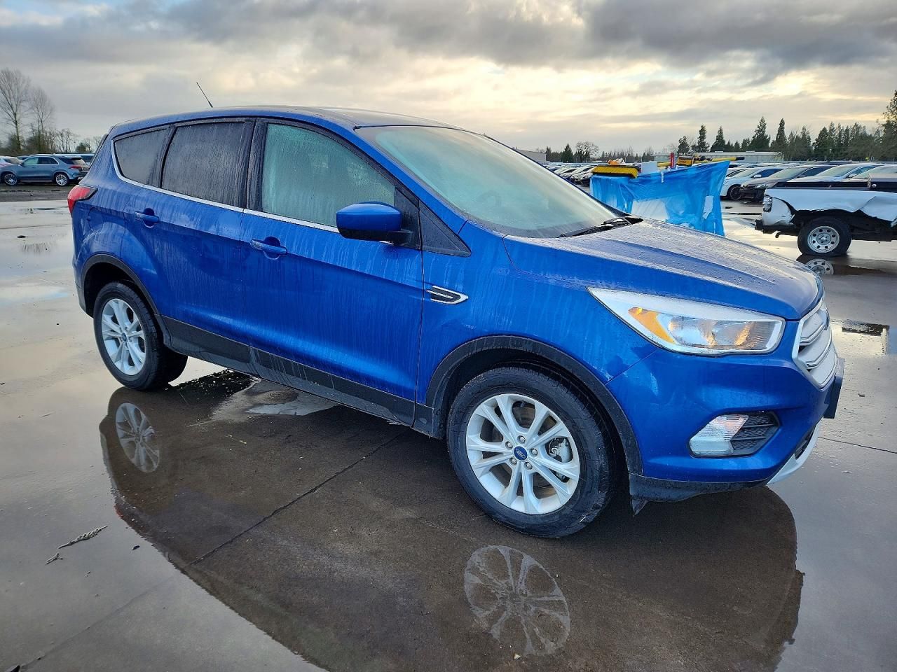 2019 Ford Escape se