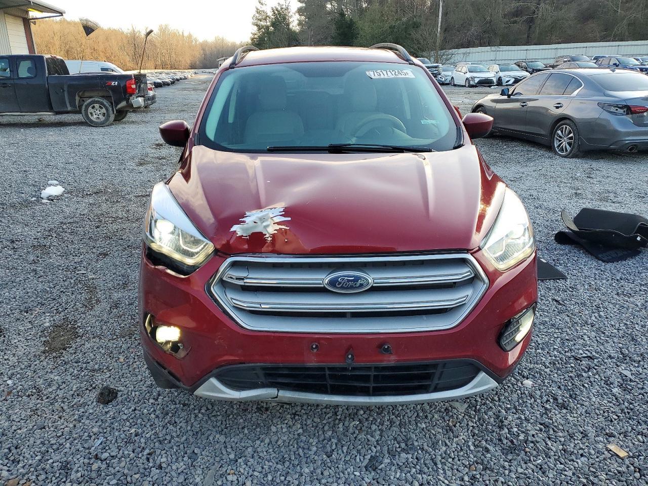 2019 Ford Escape sel