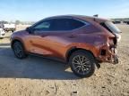2025 Lexus Nx 350 Luxury