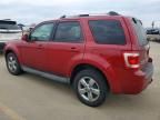 2010 Ford Escape Limited
