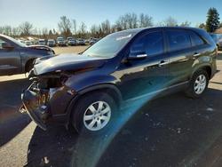 KIA Sorento salvage cars for sale: 2011 KIA Sorento Base