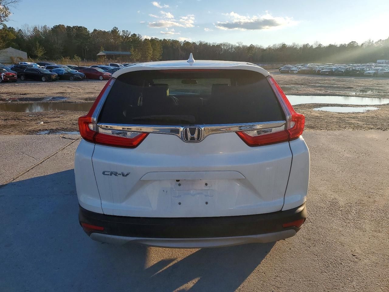 2019 Honda Cr-v ex