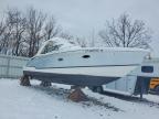 2008 Formula Boat