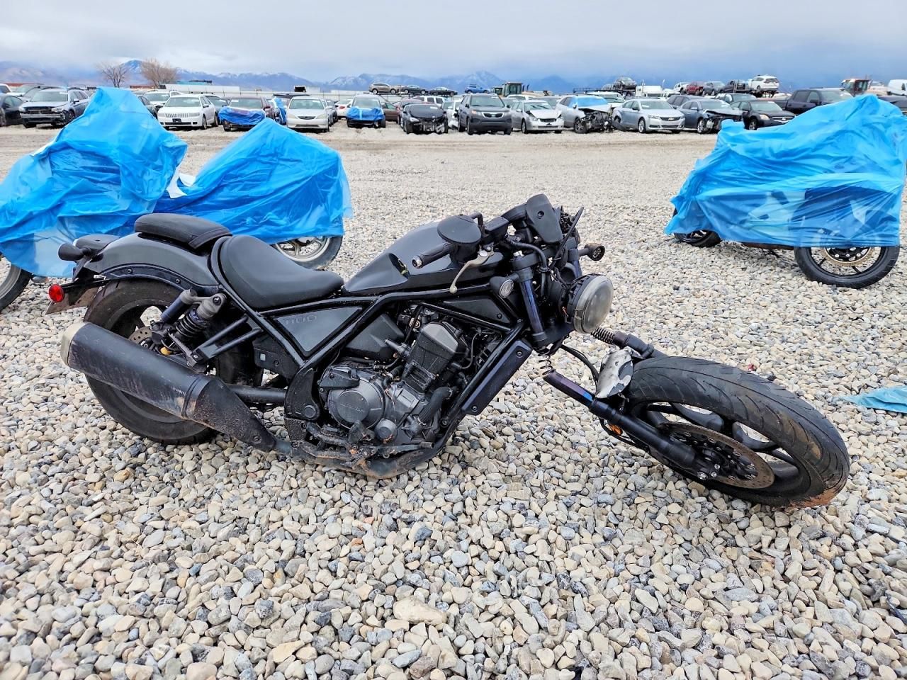 2021 Honda Cmx1100 a