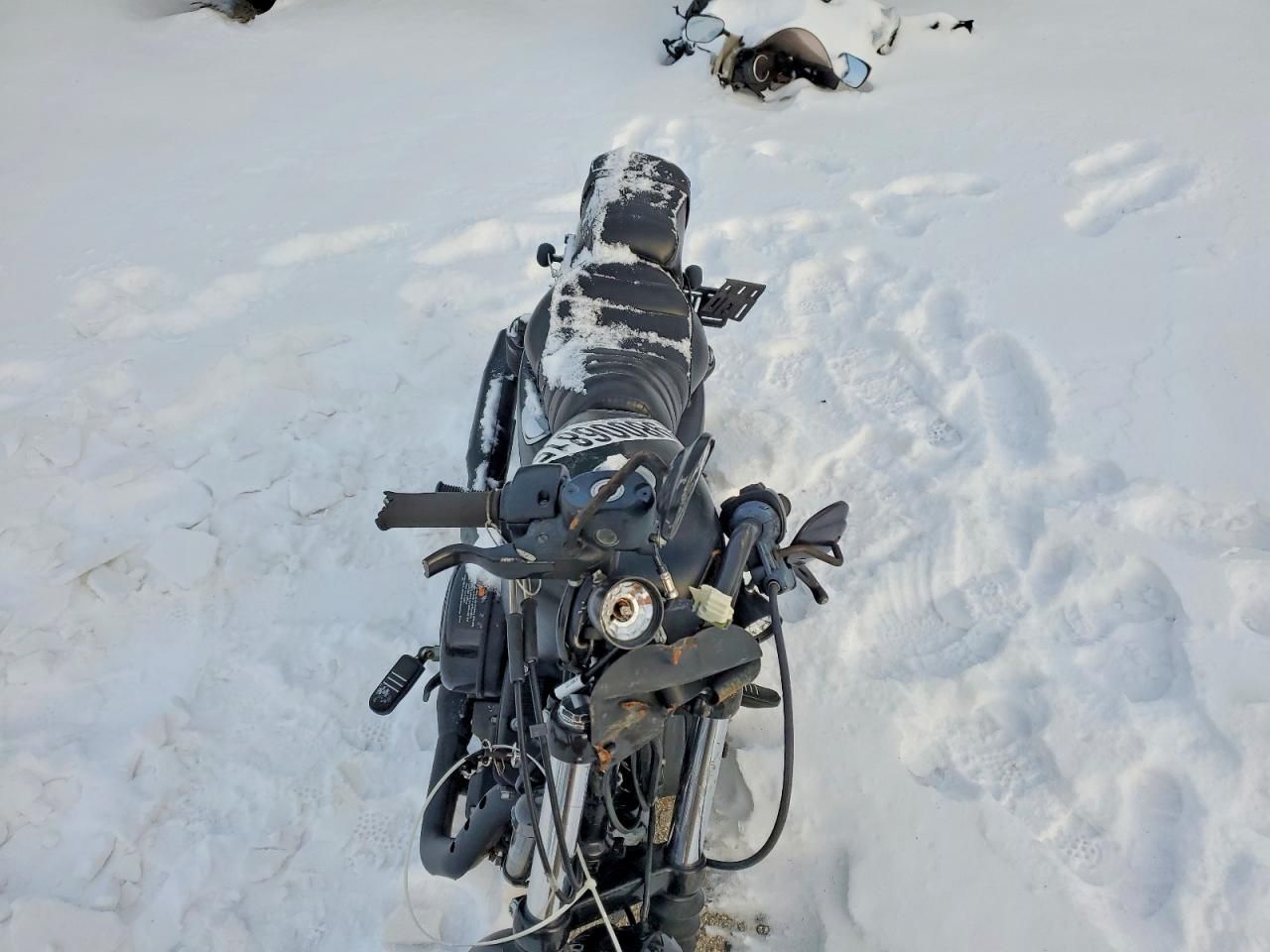 2021 Harley-Davidson Xl883 n