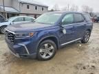2025 Honda Pilot exl