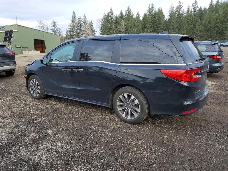 2024 Honda Odyssey exl