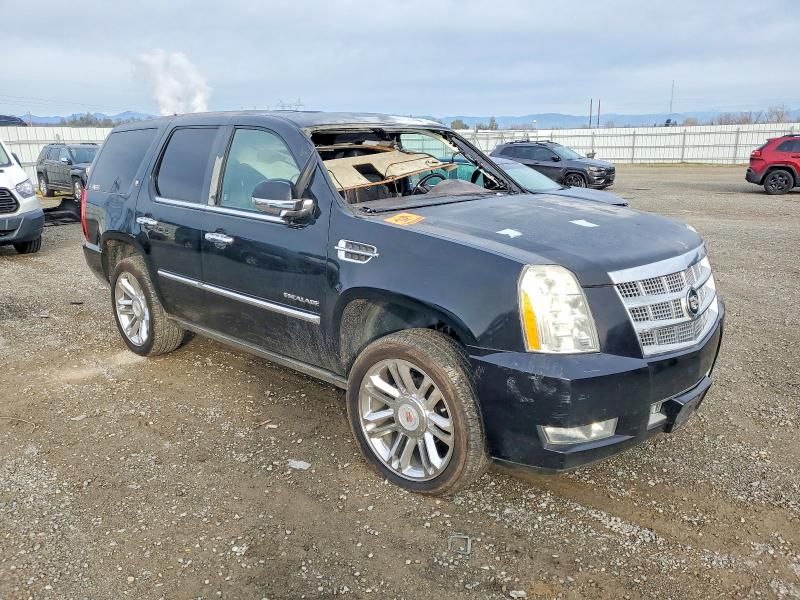 2010 Cadillac Escalade Platinum