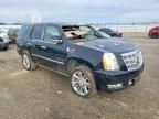 2010 Cadillac Escalade Platinum