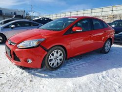 Ford Focus salvage cars for sale: 2012 Ford Focus se
