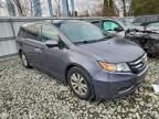2016 Honda Odyssey se