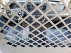 2023 Ford Transit T-250