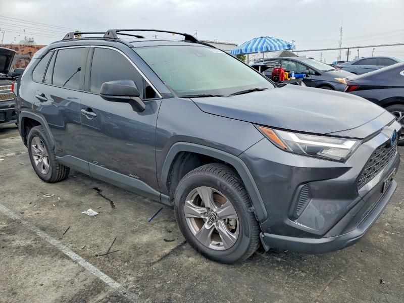 2024 Toyota Rav4 le