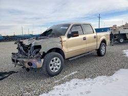 2013 Ford F150 Supercrew for sale in Brighton, CO