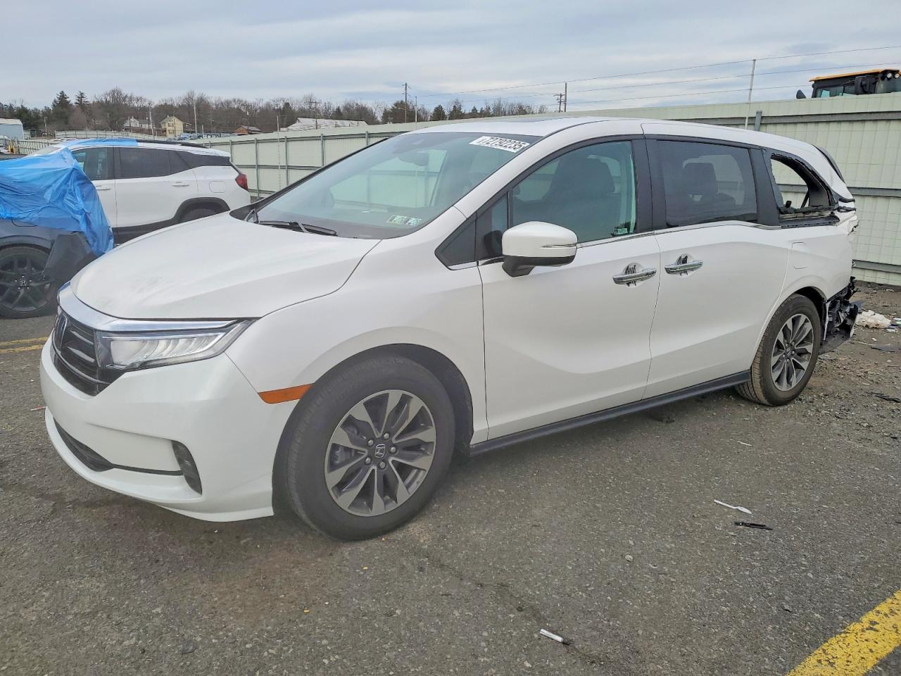 2024 Honda Odyssey exl