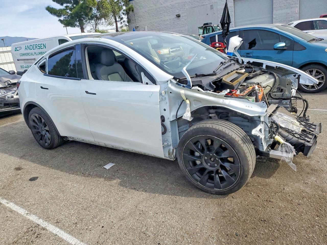 2020 Tesla Model y