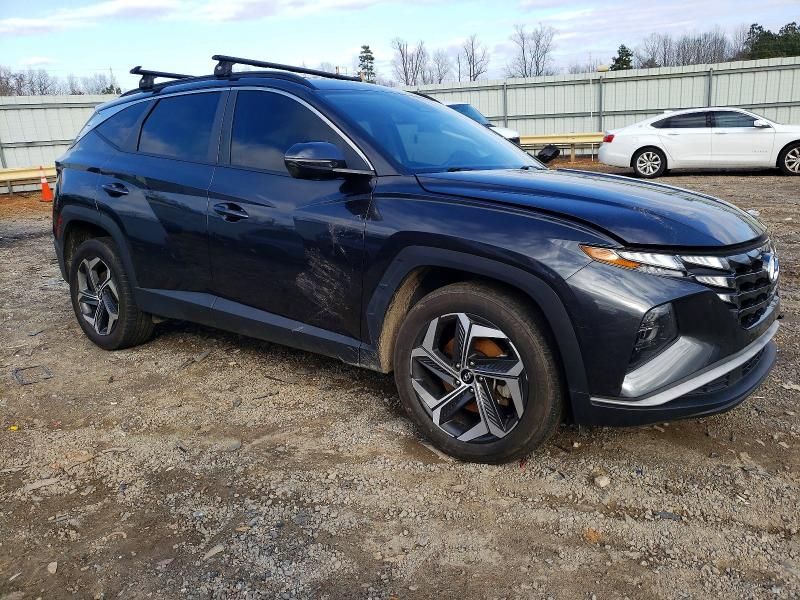 2023 Hyundai Tucson sel