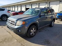 Salvage cars for sale from Copart Louisville, KY: 2012 Ford Escape xlt