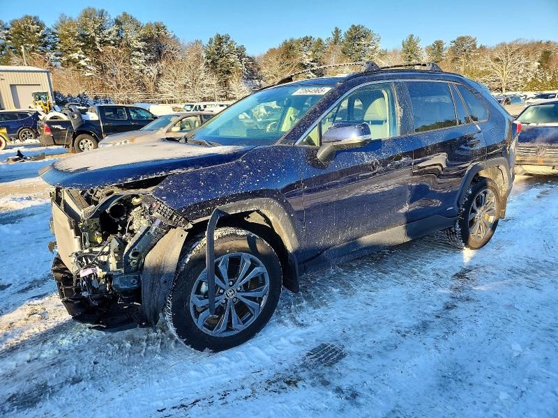 2025 Toyota Rav4 xle Premium