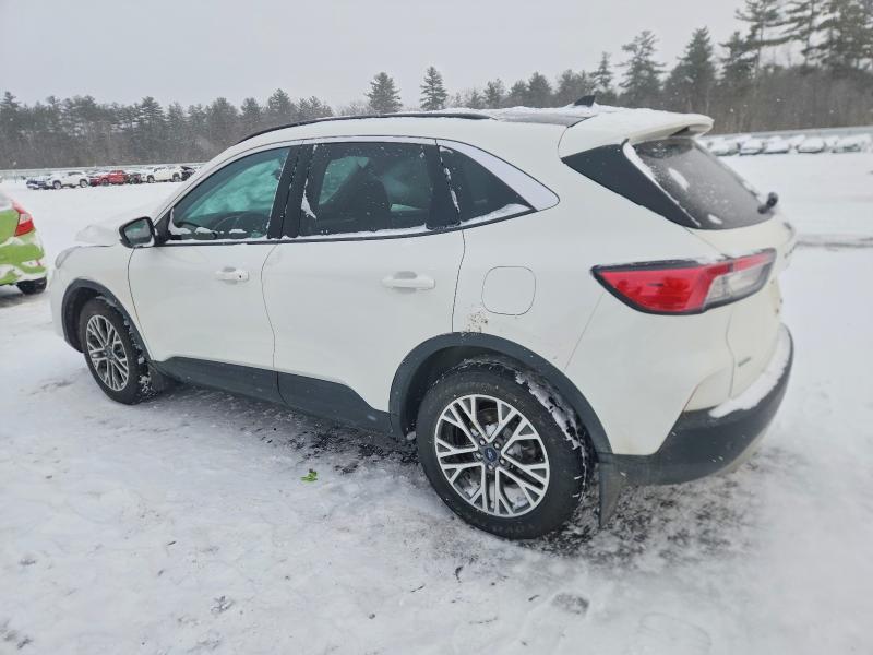 2021 Ford Escape sel