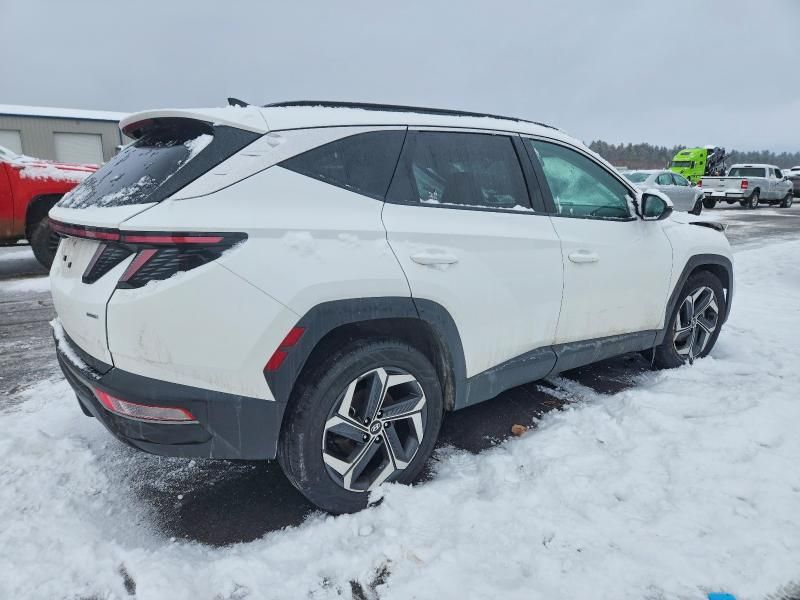 2024 Hyundai Tucson sel