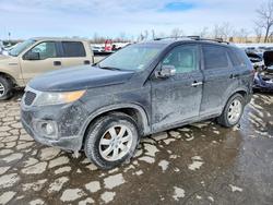 KIA Sorento Vehiculos salvage en venta: 2013 KIA Sorento lx