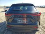 2025 Lexus NX