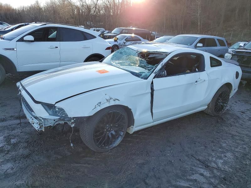 2013 Ford Mustang