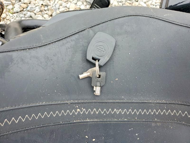 2024 Harley-Davidson Flhx