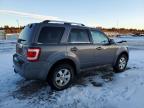 2011 Ford Escape Limited