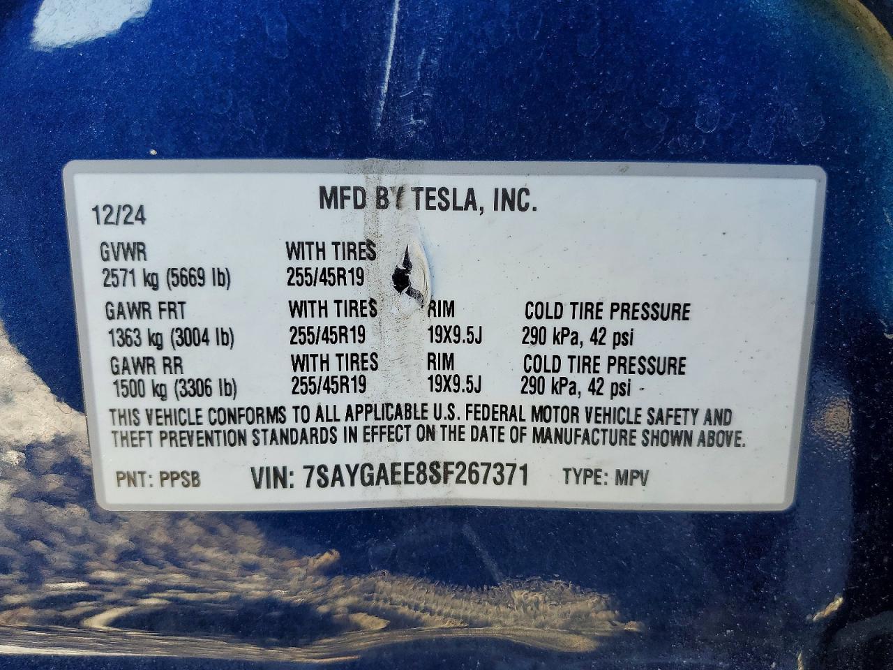 2025 Tesla Model y