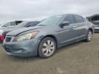 2008 Honda Accord ex