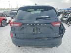 2025 Ford Escape st Line