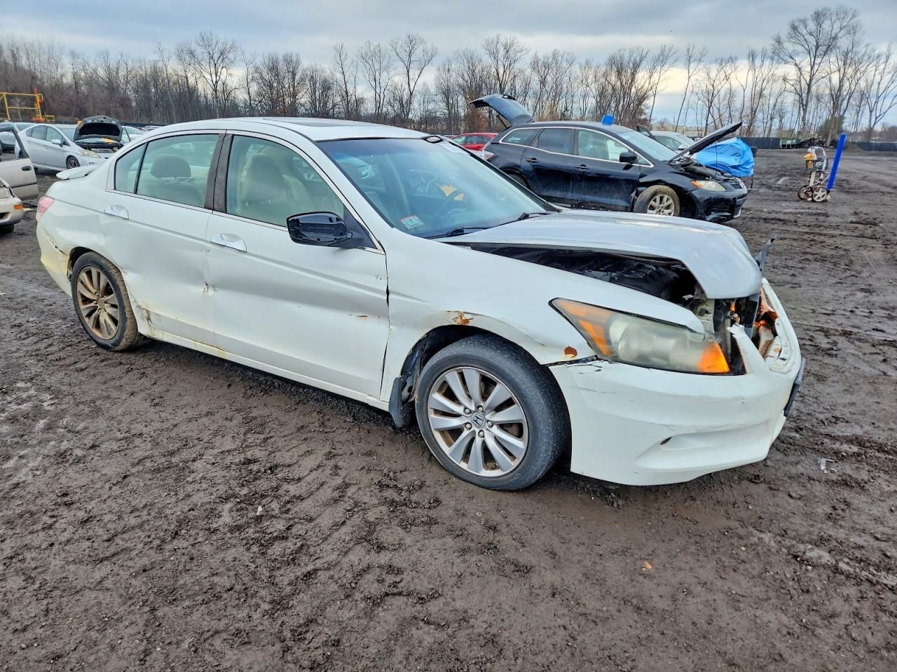 2012 Honda Accord exl