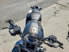 2023 Harley-Davidson Rh1250 s