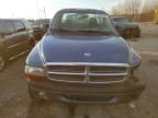 2004 Dodge Dakota Sport