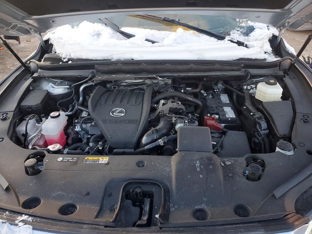 2024 Lexus Rx 350 Premium+