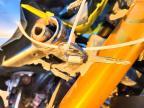 2023 Suzuki DL800DE RC