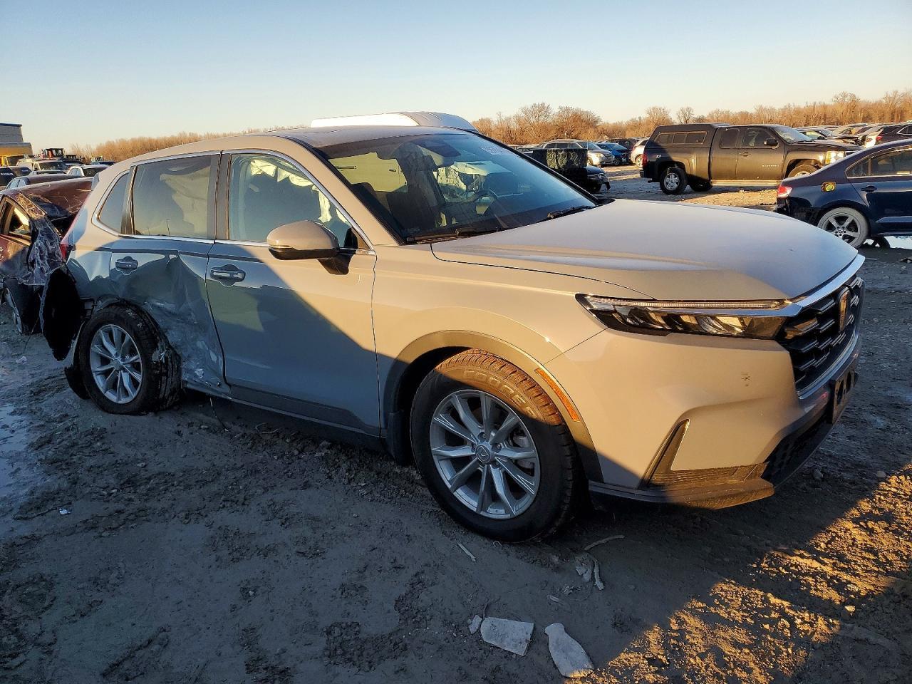 2024 Honda Cr-v ex